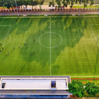 erba sintetica di calcio all'aperto artificiale della scuola del PE di 50mm