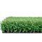 Verde artificiale non d'archivio del campo dell'erba 20mm di calcio