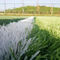 erba artificiale del tappeto erboso di calcio di verde del campo di erba di calcio di 50mm