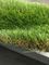 PE artificiale d'abbellimento dell'erba di autunno 35mm di Constantia