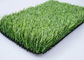 tappeto erboso artificiale del filato dell'antibatterico di 25mm per gli animali domestici nessuna 11000 densità nociva