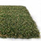 verde mettente dell'interno di golf di golf artificiale del tappeto erboso 15mm
