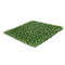 Filato artificiale del monofilamento del PE dell'erba 30mm di calcio non intermedio del campo