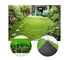 PE pp di 25mm che abbellisce il prato inglese artificiale del tappeto erboso per erba Front Garden