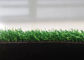 Il PE di sguardo naturale di Mini Golf Artificial Grass ha arricciato il filato non tossico